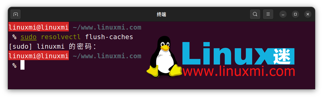 如何在 Linux 上检察和刷新 DNS 缓存